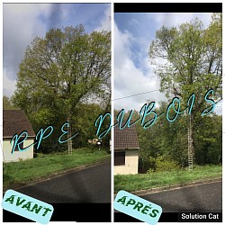Élagage d’un chêne menaçant à campigny