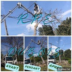 Abattage à la nacelle d’un arbre à risques ligne électrique en dessous le tronc était pourrissant suite à une infiltration d’eau à brionne
