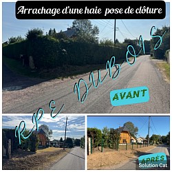 Intervention complète pour arrachage de haies et pose de clôture solide, nettoyage du terrain inclus, près de Bernay.